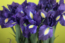Iris Artificiale Composto da 5 Fiori Altezza 68 cm Viola