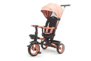 Passeggino Triciclo per Bambini 1-3 Anni Trico Luxury Gold 7 Modalità di Guida Rosa