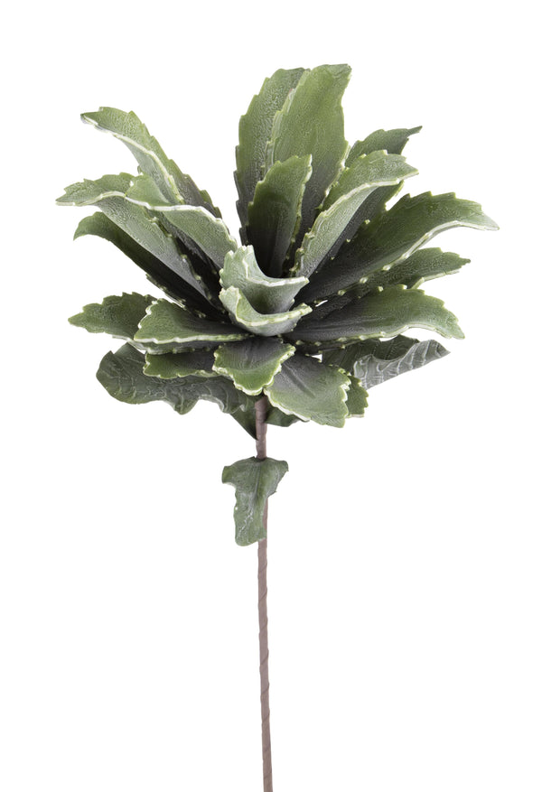 Set 2 Kunstblumen aus Ingwerschaum mit Blättern, Höhe 70 cm, grau online