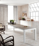 Tavolo da Pranzo Allungabile in Legno e Top in Melamina 130/290x80x76cm TFT  Tiche Bianco Cenere e Beige Grigio