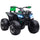 Elektro-Quad für Kinder 12V Schwarz und Grün
