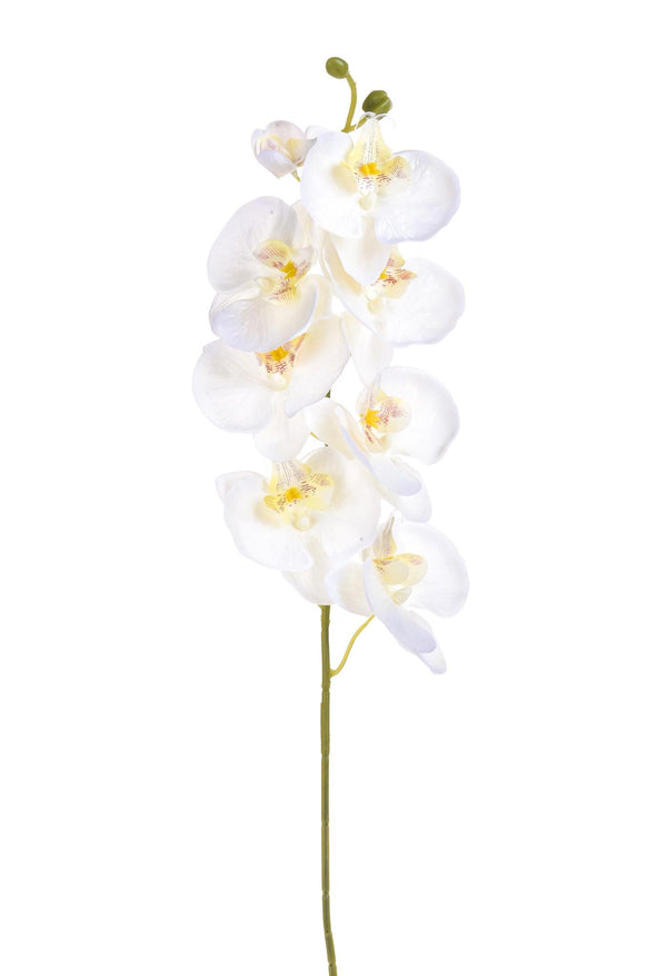 Set 12 künstliche Phalaenopsis mit 8 Blüten Höhe 65 cm weiß acquista