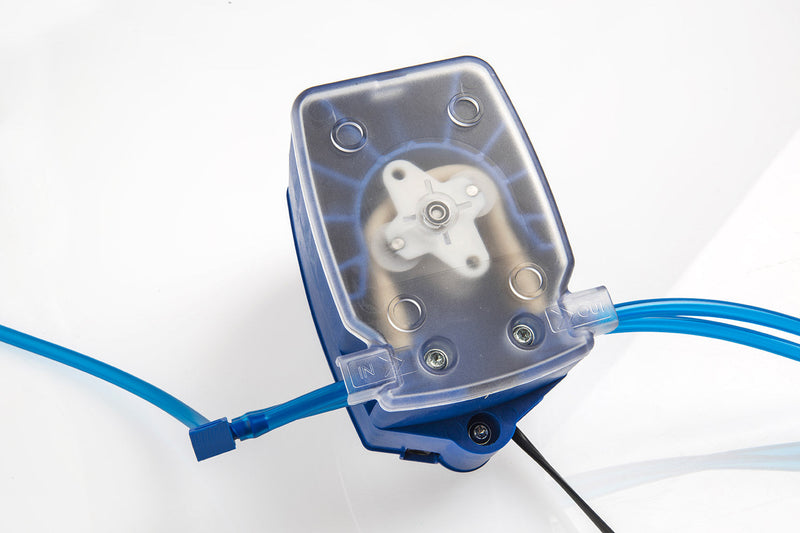 Incubatrice per Uova Professionale Borotto Lumia 56 Expert 