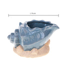 Set 2 Vasi Conchiglia con Base Ø 20 H 11 cm 