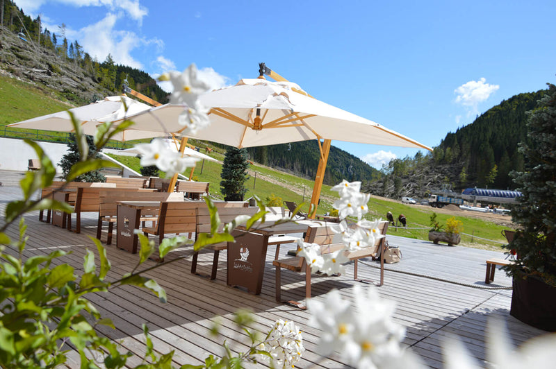 Ombrellone da Giardino Decentrato 2,5x3,5m in Legno Telo in Acrilico Danieli Tokio Ecrù