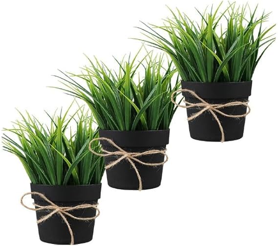 prezzo Set 3 Piante Artificiali con Vaso in Polipropilene Nero