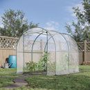 Serra da Giardino per Piante a Tunnel in PVC 250x200x200 cm 