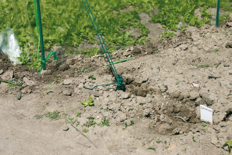 Serra da Giardino a Tunnel in Acciaio Rama Premium Verde