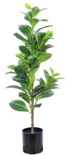 Pianta Artificiale Paperomia H80 cm con Vaso Verde