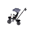 Passeggino Triciclo con Sedile Girevole 65x47x110 cm con Cappotta e Cestini Grigio  