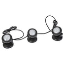 Faretti da Esterno a Led Multicolore 12V con Crepuscolare Rama Led 3000