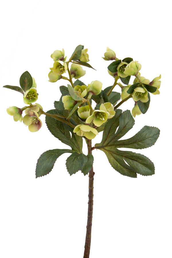 online Set mit 12 künstlichen Helleborus-Zweigen, Höhe 42 cm, grün
