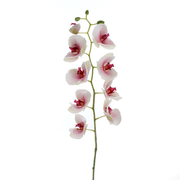 Künstliche Phalaenopsis, Höhe 95 cm, weiß online