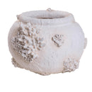 Vaso Conchiglie e Coralli Ø 56x39 cm