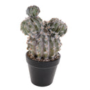 Pianta di Cactus Artificiale con Vaso Altezza 28 cm 