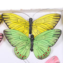 Set 12 Farfalle con Clip Larghezza 14 cm