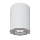 Plafoniera Ceiling & Wall in Alluminio Alfa Bianco