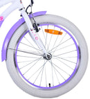 Bicicletta per Bambine 20" Freni Vbrake con Cestino e Portapacchi Viola e Bianco