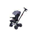 Passeggino Triciclo con Sedile Girevole 65x47x110 cm con Cappotta e Cestini Grigio  