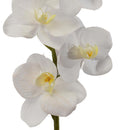 Set 6 Mini Phalaenopsis Artificiali Altezza 43 cm Bianco