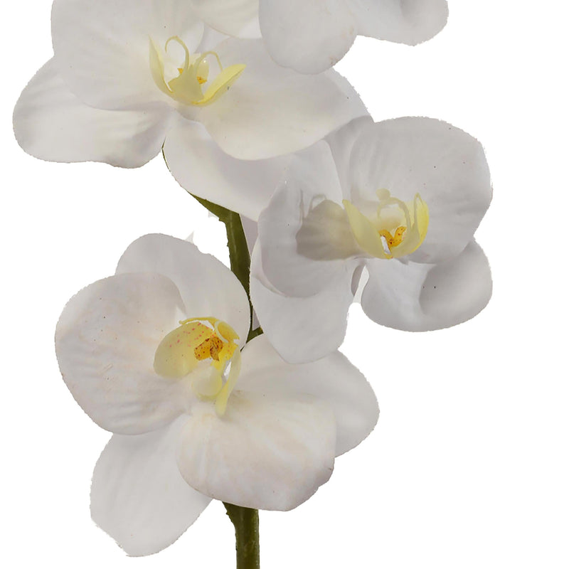Set 6 Mini Phalaenopsis Artificiali Altezza 43 cm Bianco