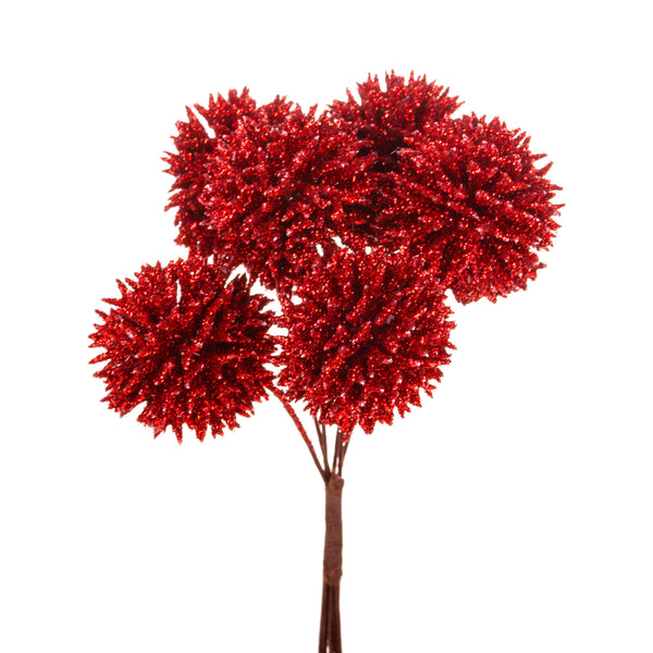 Set 24 Plektren mit Echinops H14 cm Rot online