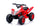 Quad Elettrico per Bambini 12V 4,5Ah Rosso