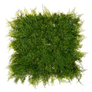 Mattonella Mix Si Felce Larghezza 50 cm