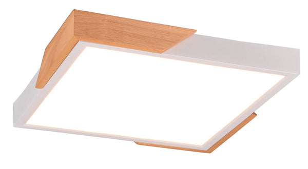 Plafoniera da Interno a LED in Plastica Bianco Opaco prezzo