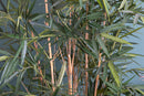 Bamboo Royal Artificiale a 7 Diramazioni con Vaso Altezza 210 cm Verde