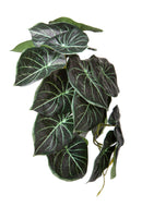 Set 4 Foglie Artificiali Syngonium per 21 Foglie 18 cm 