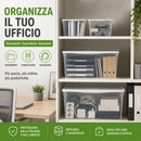 Set 4 Pezzi Contenitori con Coperchio Spring Box 1L + 1M + 2XS in Plastica Bianco Trasparente      