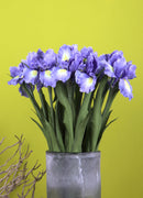 Iris Artificiale Composto da 5 Fiori Altezza 68 cm 