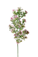 Set 8 Verde Ornamentale 63 cm