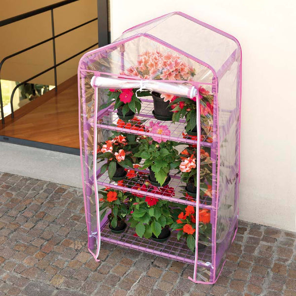 Garten-Gewächshaus aus Aluminium mit 3 Regalen und lila Azaleen-Rama-Abdeckung sconto