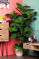 Ficus Lyrata Artificiale Altezza 180 cm Verde