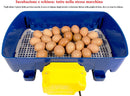 Incubatrice per Uova Automatica Professionale Borotto Real 24