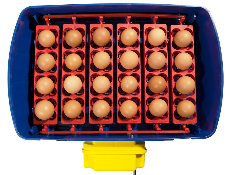 Incubatrice per Uova Automatica Professionale Borotto Real 24