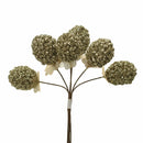 Set 24 More con Glitter H12 cm Champagne