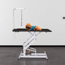 Tavolo da Toelettatura e Tosatura per Animali Domestici Professionale 108x60 cm 