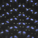 Proiettore LED da Esterno e Interno con Telecomando Decorazioni Natalizie 