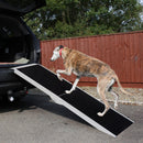 Rampa Antiscivolo per Animali Domestici in Alluminio 122x38x5 cm 