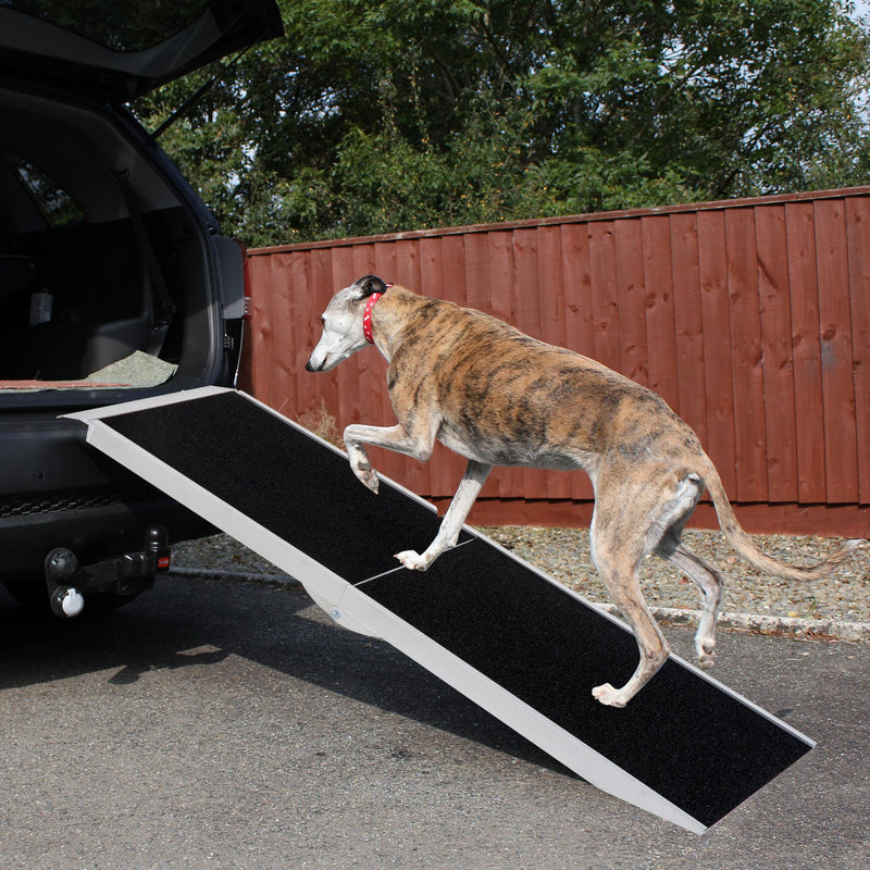 Rampa Antiscivolo per Animali Domestici in Alluminio 122x38x5 cm 