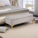 Panca Contenitore Fondo Letto 120x44x44,5cm con Tessuto Vellutato e Gambe Dorate Grigio Chiaro