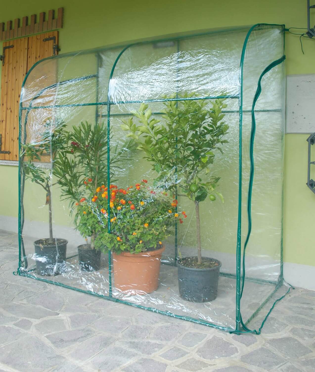 Stahlwand-Gartengewächshaus mit grüner...