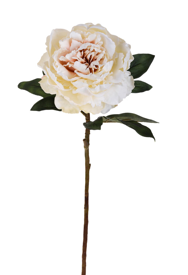 sconto Set 4 Künstliche Pfingstrosen in Antikoptik einzeln Höhe 72 cm