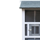 Voliera Gabbia per Uccelli 80,5x57x158,5 cm in Legno Grigio