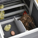 Pollaio Gabbia per Galline da Esterno 176,5x65,5x100 cm con Area Aperta Recitanta Grigio