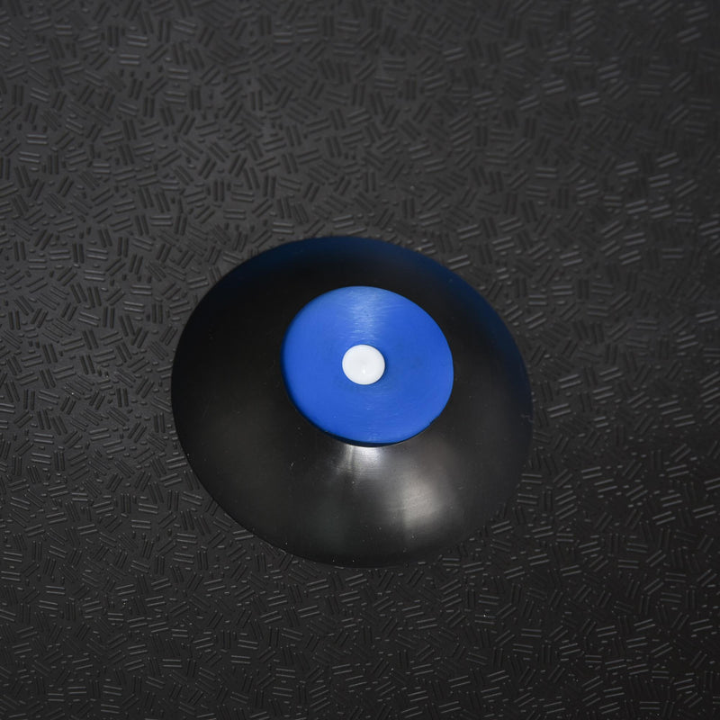 Balance Ball con 2 Elastici e Pompa per Allenamento e Riabilitazione Muscolare Blu