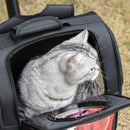 Zaino Pieghevole con Oblò per Gatti e Cani di Piccola Taglia 38x24x38 cm in Tessuto Oxford Nero e Rosso